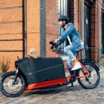 Riese And Muller Packster 70 Featured Image 10 4