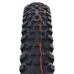 Schwalbe Hans Dampf Performance 1