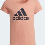 Ad Gs4292