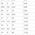 Rossignol Shoe Size