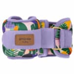 Spokey HOME JUNGLE FORM 0.5kg