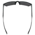 uvex LGL 42 black transparent/mir.silver