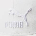 Puma Archive Logo BB Cap /12