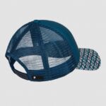 Protest PRTKEEWEE cap, Raku Blue