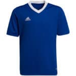 Adidas ENT22 JSY Y ROYBLU