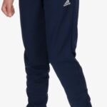 Adidas ENT22 TR PNT Y TENABLUE