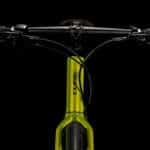 Cube Editor Race lizard n black
