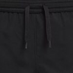 K NK ACD23 SHORT WP GX HBR
